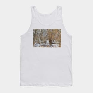 Ravine and Stream Winter Tank Top